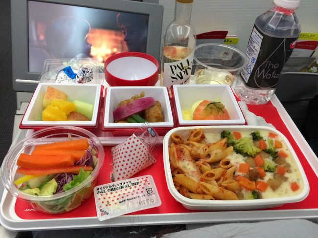 機内食第一弾。<br />メインはポークのクリーム煮的なもの。<br />これがとってもおいしくて、これまでの機内食ダントツ1位。<br />小鉢もそれぞれいい感じで、大変満足。<br /><br />蕎麦アレルギーであることを事前に航空券を買った代理店に伝えていたところCAにも情報が共有されていて、「今回はそば粉を使ったメニューは出ませんが、念のためお好きなほうを先にお選びください」と選ばせてくれました。<br />（もう１種類のほうはメニュー忘れましたが）<br />基本的に海外行くときは、飛行機乗るところから海外気分を味わいたいので日系以外を利用することがほとんどですが、やはりこういうところは日系は安心ですね。<br />