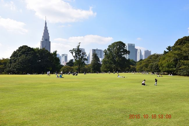 東京散策39 2 解体された国立競技場とバラ花壇が満開の新宿御苑 新宿 東京 の旅行記 ブログ By Jh2fxvさん フォートラベル 東京散策39 2 解体された国立競技場とバラ花壇が満開の新宿御苑 新宿 東京 の旅行記 ブログ By Jh2fxvさん フォートラベル