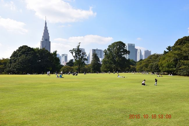 東京散策39 2 解体された国立競技場とバラ花壇が満開の新宿御苑 新宿 東京 の旅行記 ブログ By Jh2fxvさん フォートラベル