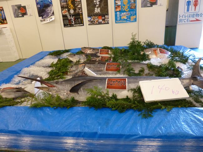 カジキマグロが展示されてました。<br />　<br />市場まつりで購入するのはとってもお値打ちなのですが、量が多すぎる。<br />我が家の２人だけでは、朝昼晩と同じものをずっと食べ続ける必要が出てしまいます。手ごろな量の刺身だけを購入しないと・・　<br />　<br />それと、ウォーキングなどしてる場合じゃなく、直接まつりに駆けつけないと何も残ってない。(笑)<br />　<br />　<br />　<br />いやいや、絶好のウォーク日和に恵まれ楽しい１日になりました。<br />特に、名古屋駅前の変貌ぶりにはビックリ！<br />　<br />名古屋駅南側の近鉄・名鉄も建て直しの計画中だとか<br />リニアが完成したら、どんな名古屋になってるやら？<br />　<br />その時まで私は生きているかな？<br />そんな事を考えながら、家路につきました。<br />