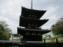 ホテルに送って貰ってから
その後は、奈良公園へ徒歩で出発！

興福寺へ！