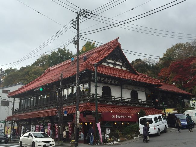 東武バスフリーパスで東武日光駅から神橋で下車。<br /><br />立派な建築物でした