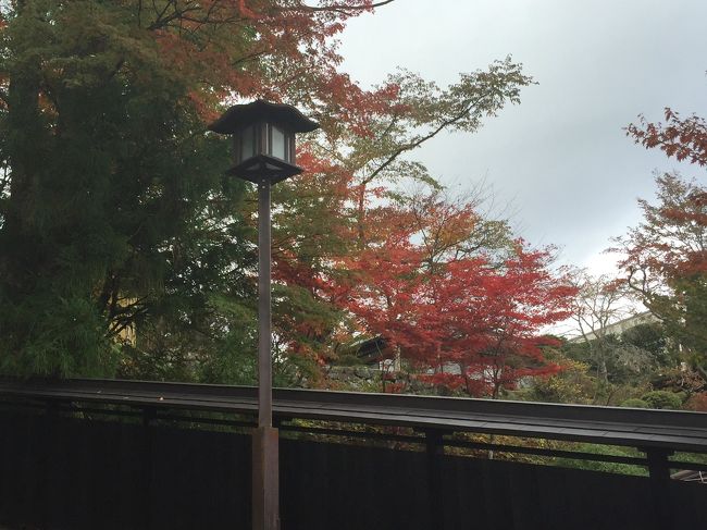 キレイ♪<br /><br />階段だらけで疲れましたが紅葉に癒されたり♪(^-^)