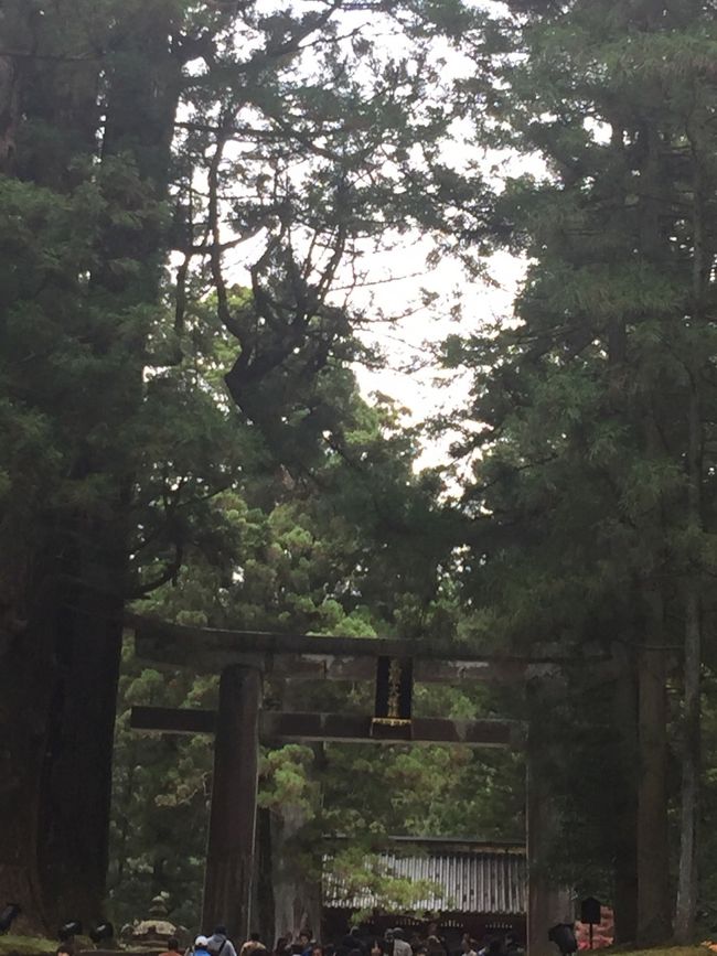 数年ぶりの東照宮。<br />