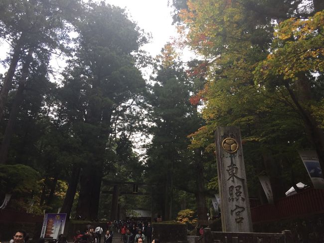 外国人観光客がほとんどでした