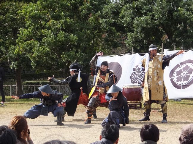 ダンス後の決めポーズ的なの撮れました！<br />いい写真撮るために旦那王子を置いてひとりでうろちょろしながら（笑