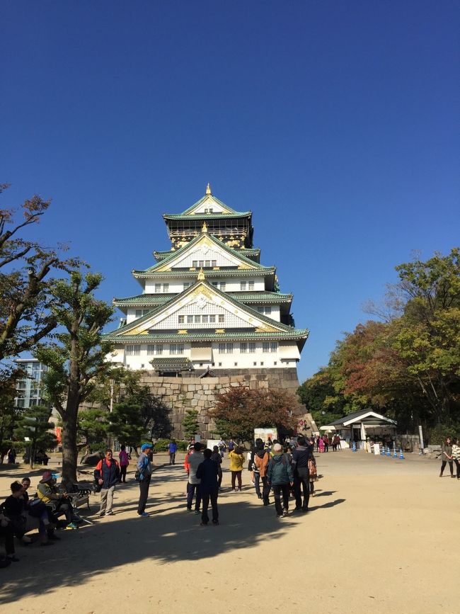 満腹すぎてもう食べられないので、大阪城に行きました。<br />イチョウの木の紅葉もキレイでした＊<br /><br />で、めっちゃ、ギリギリだったけど飛行機間に合って、羽田に帰ってきました(^_-)