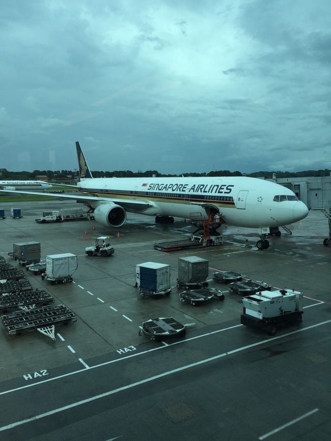 シシンガポール航空にお世話になりました。<br />