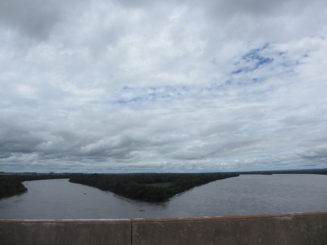 広大な中之島の他にもプチ中之島が沢山ある
