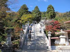 階段を登り「大山阿夫利神社 下社」に向かいました。