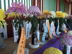 上総国分尼寺跡での菊花展。
切り花があって、花瓶がビール瓶なのが面白かった。
よくあることなのか、それともこの地区限定のローカルなこと？


