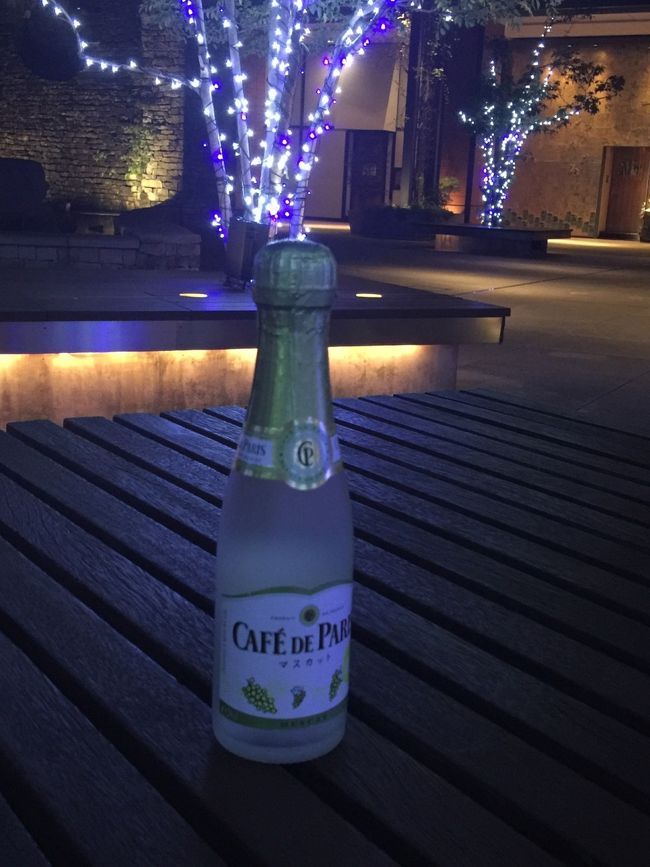 頂いた200mlのボトルをせっかくなのでイルミネーションとともにパチリ♪<br /><br />