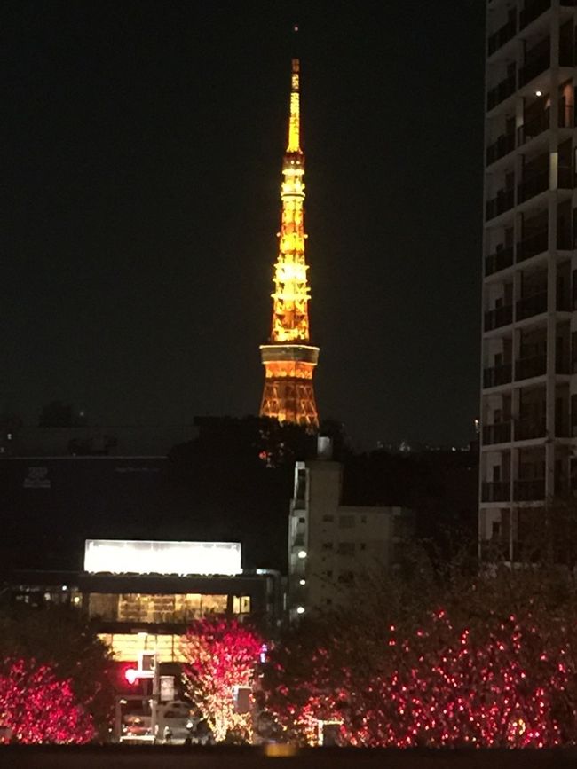 帰る頃にはまたレッドカラーに…。