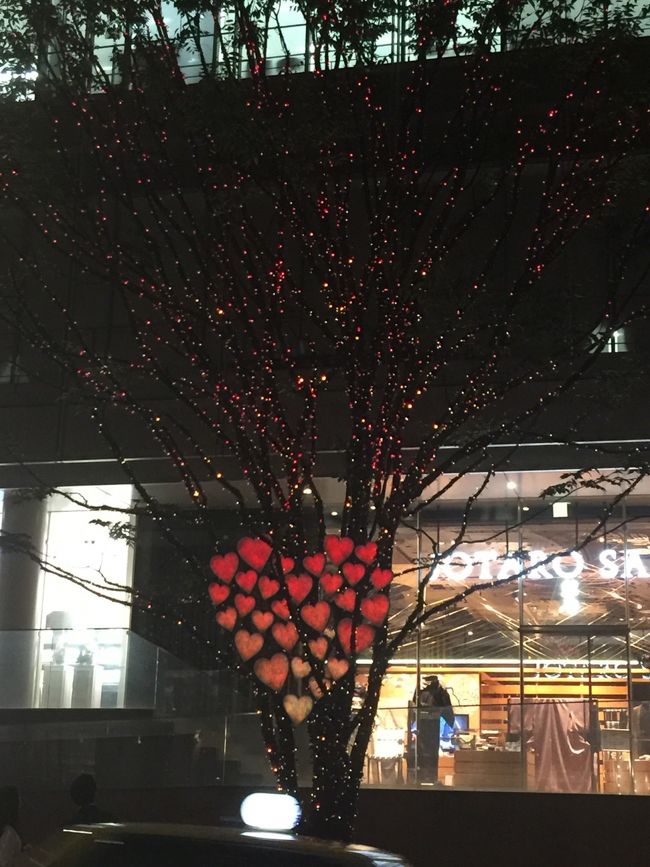 可愛くて再度アップ♪