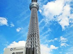 子供の頃、水族館や動物園はとてもワクワクするところで、連れて行ってもらえると決まると、あと何日…と指折り数えて、その日がやってくるのを待っていたものだった。

でも、いつからだろう。
水族館や動物園は人間のエゴで作られている…と感じるようになったのは…。

だから今回、すみだ水族館で開かれている【クラゲ万華鏡トンネル】を知った時、行ってみたいのだけれど、でもそれってどうなのだろう…と独り悶々と自問自答した。

(写真：すみだ水族館の上にそびえるスカイツリー)