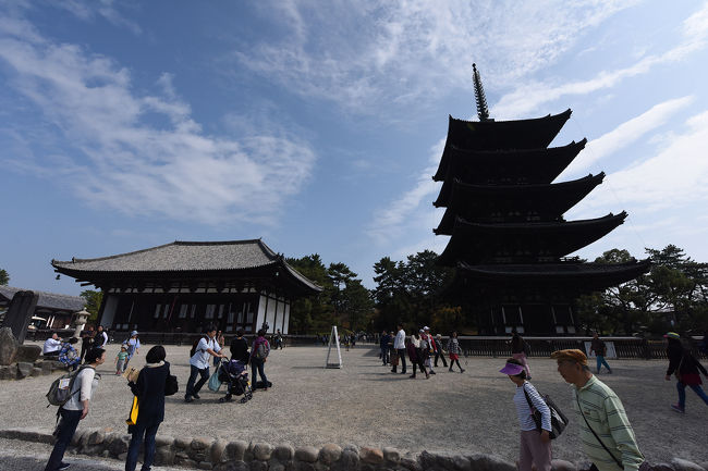 興福寺です<br />いまでは、奈良公園の中に埋没していますね・・・