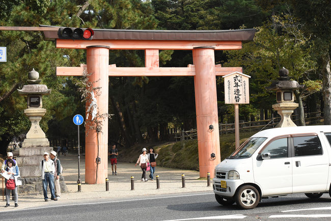春日大社です