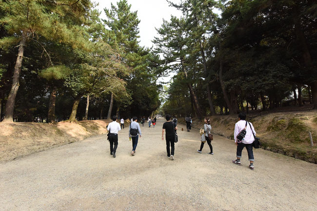 参道を歩きます