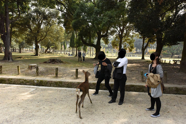 持っていない人にもよってきますし、恐る恐るあげている同行者(笑)