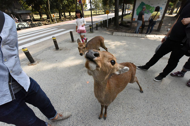 よいアングルを目指して、レンズ上部に置きます・・・<br />が、届かないようで必至に懇願します