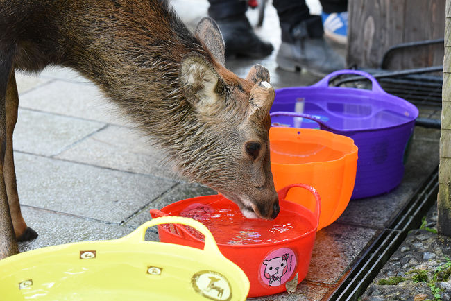 水桶もありますね