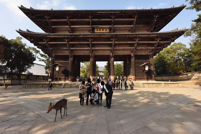 東大寺南大門をバックに撮影です