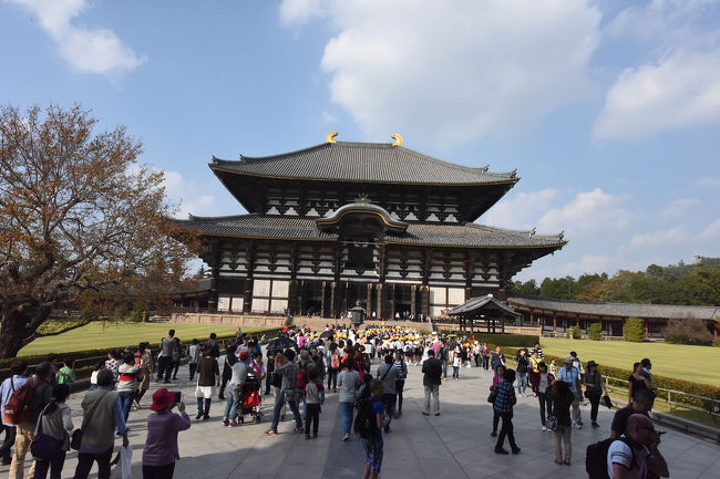 修学旅行生もいました