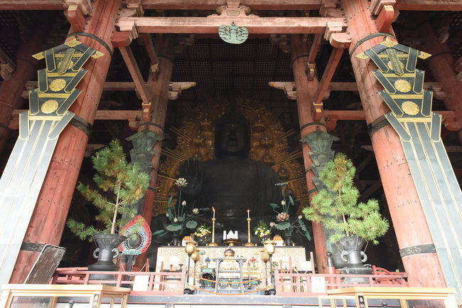 で、20年ぶりに大仏様とご対面ｎ