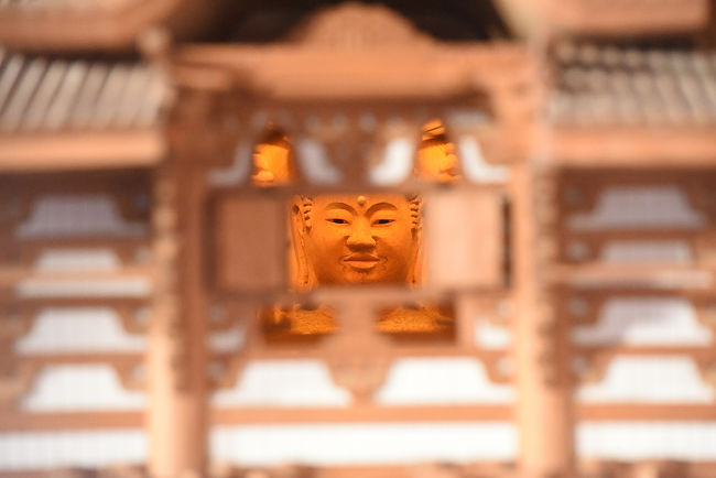 現代の御堂は、大仏様の顔の部分に外をのぞくのぞき穴があるそうです