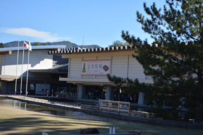 奈良博<br /><br />相変わらず人は多かったです。個人的に大きな目玉はありませんでしたが。「隼人」の姓をもった人たちの計帳が面白かったです。集落のほとんどが隼人さん、しかも全員どこかに黒子（ほくろ）がある（笑）