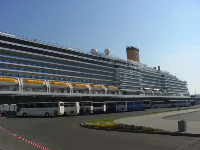 早朝、たくさんの観光バスが港で待機しています