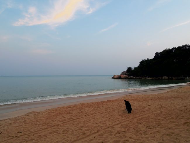 朝のビーチ散歩。