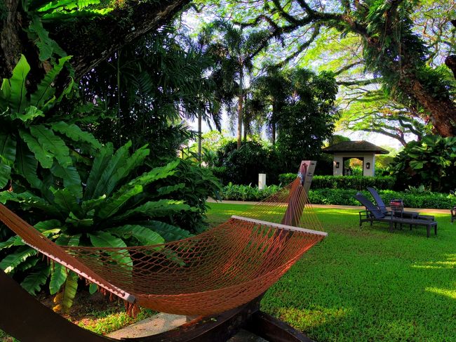 ハンモックでゴロゴロ。<br />降りる時にうまく降りられず、網に引っ掛かり捕らえられたサカナ状態になる。