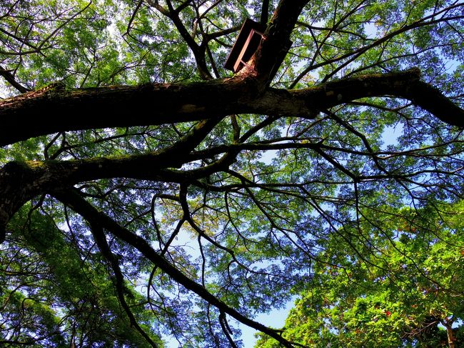 名残惜しいですが、チェックアウトしてクアラルンプールへ向かいます。<br /><br />MH1149<br />ペナン発　15：15<br />ＫＬ着　　16：10