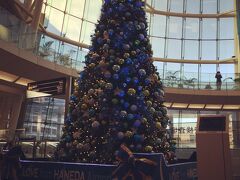 こんかいは羽田から徳島まで飛びます。
空港はすでにクリスマスムード。