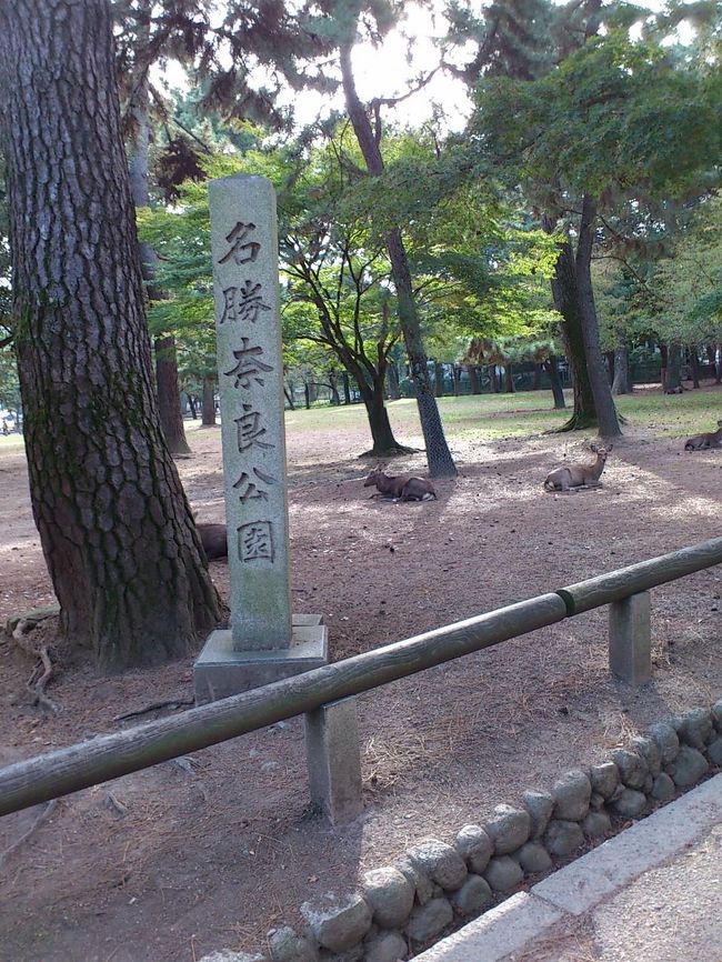 奈良公園<br />