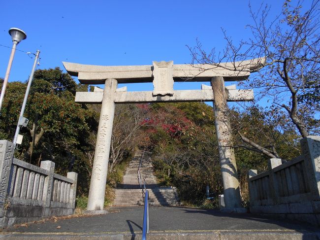 阿波國徳島藩蜂須賀家２５万７千石知行地内旧家蔵出２００〜２５０年前頃欅造井戸滑車 阿波國徳島藩蜂須賀家25万7千石知行地内旧家蔵出200