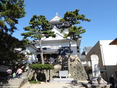 途中、岡崎城も見に行きました。
平地にあり、楽々です。