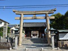 着きました。
岡山城から、徒歩10分弱です。
岡山神社です。
七五三親子が、多く行きかっていました。
