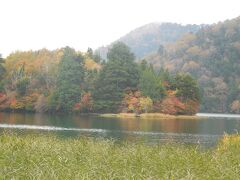 兎島の紅葉が綺麗です