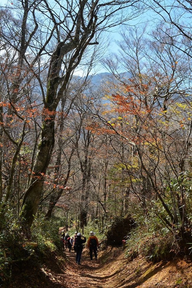 天を突く峰 石鎚山 西条 石鎚山 愛媛県 の旅行記 ブログ By Rikanさん フォートラベル 天を突く峰 石鎚山 西条 石鎚山 愛媛県 の旅行記 ブログ By Rikanさん フォートラベル