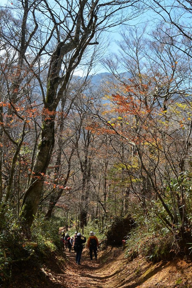 天を突く峰 石鎚山 西条 石鎚山 愛媛県 の旅行記 ブログ By Rikanさん フォートラベル