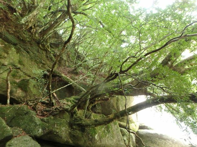 2015 夏たび その3 大人の水遊び In屋久島 屋久島 鹿児島県 の旅行記 ブログ By Fujickeyさん フォートラベル 2015 夏たび その3 大人の水遊び In屋久島 屋久島 鹿児島県 の旅行記 ブログ By Fujickeyさん フォートラベル