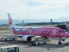 地上係員さんから「入賞おめでとうございます」と送り出してもらい、
機材はさくらジンベエ。旅の幸先良い予感がします(*'▽')