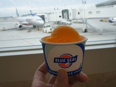 那覇空港に定時に到着。
なのに乗り継ぎの便は1時間の遅延…お詫びのお食事券で、ブルシールアイスクリームを頂いちゃいます。
マンゴー濃くて、美味しい(´▽｀*)