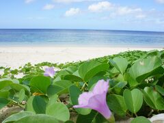 シーズンオフのビーチ、私以外誰もいません。
しばし貸切状態の贅沢を♪