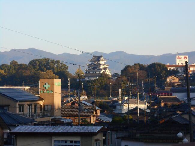 阿波川島 JR四国「バースデイきっぷ」で阿波藩九支城の一つとして吉野川を監視する川島城跡訪問