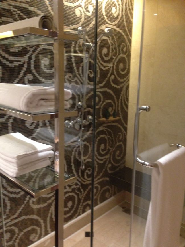 シャワーブースがあります。<br />全部すけすけですが〜