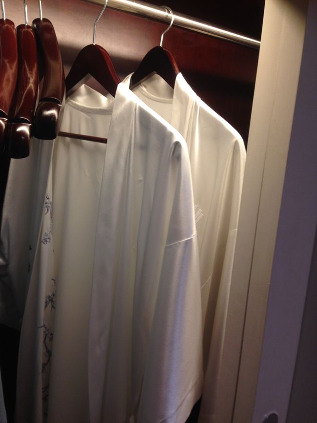 ベトナムシルクのガウンが2枚〜<br />これは、使いやすかったです！<br /><br />