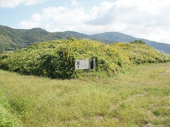 ●千歳車塚古墳

こんもりした山を見つけました。
古墳のようです。
この界隈で最大級の前方後円墳だそうです。